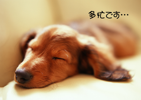 有限会社アイテム