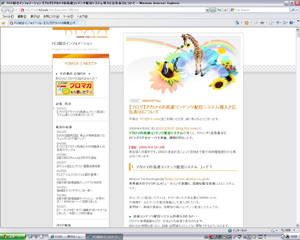 アカマイの高速コンテンツ配信システム導入と広告表示について