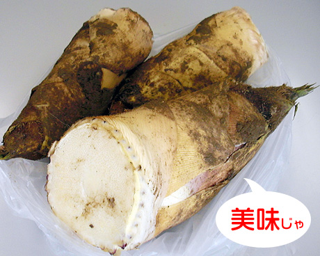 西田たけのこ料理　高田家