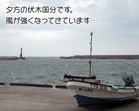 黒鯛釣り　浜八渡船