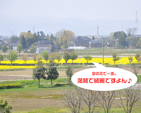 WEB制作・ホームページ制作・SEO対策会社　富山県　アイテム