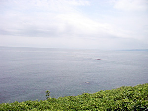 氷見の民宿 灘浦荘さんから見た風景