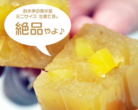 鈴木亭　栗羊羹 ミニサイズ 生栗