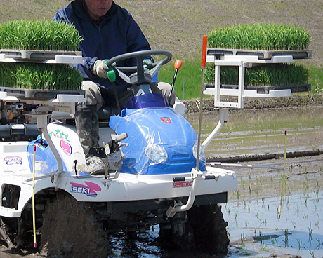 taue_20100515_2.jpg