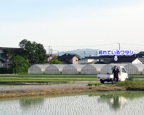 taue_20100515_4.jpg
