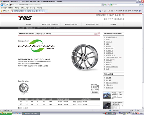 ENERGY LINE DW-01　（エナジーライン　DW-01）　TWS