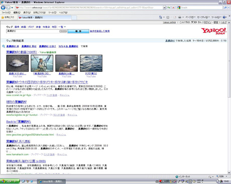Yahoo!検索で「黒鯛釣り」を見る？